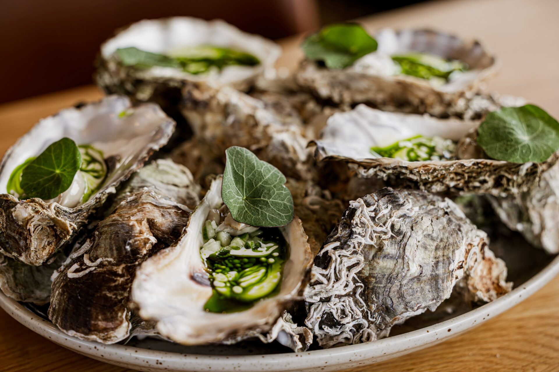 20250430 ig1a9108 enhanced nr