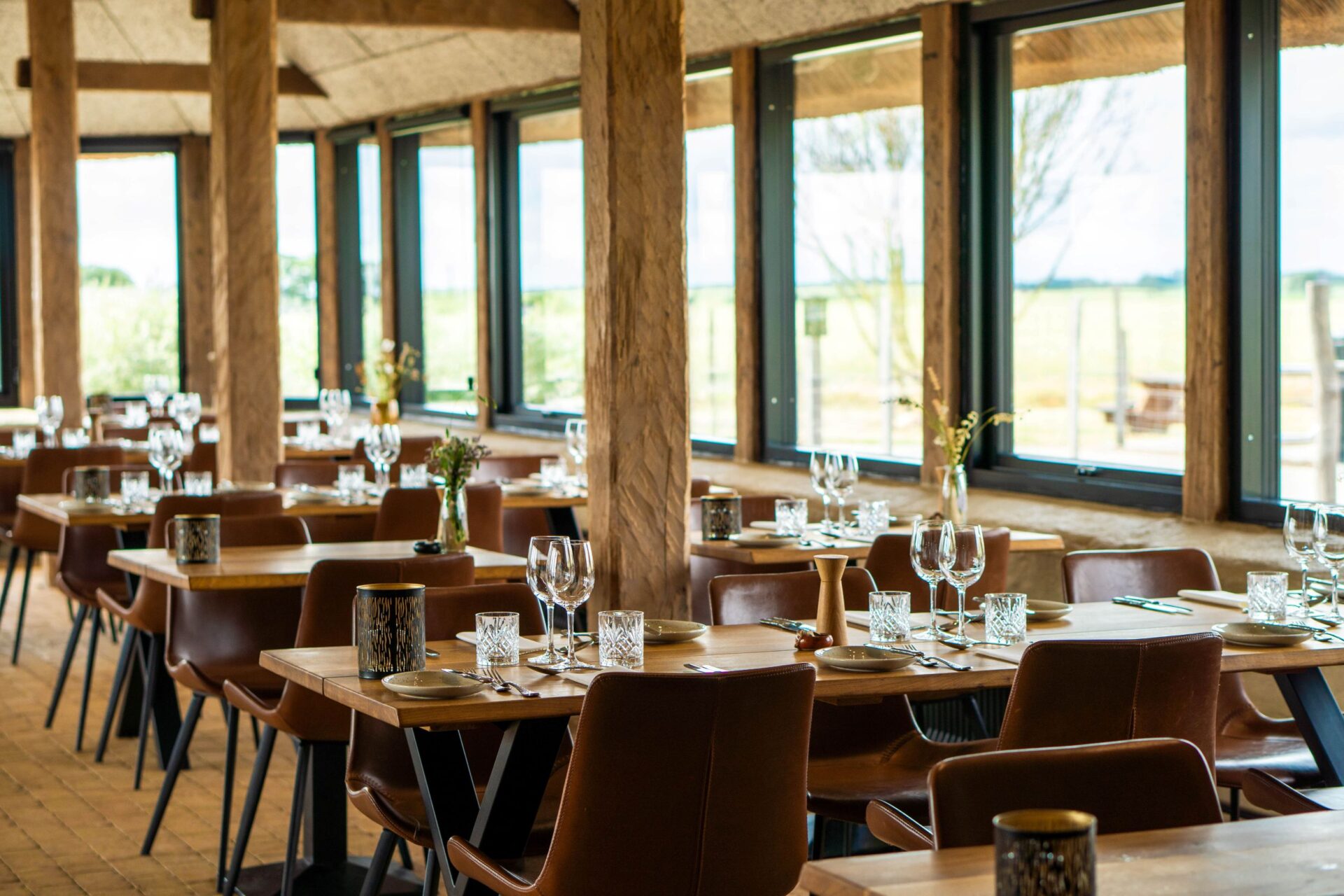 marskcamp hotdog glamping 2023 8