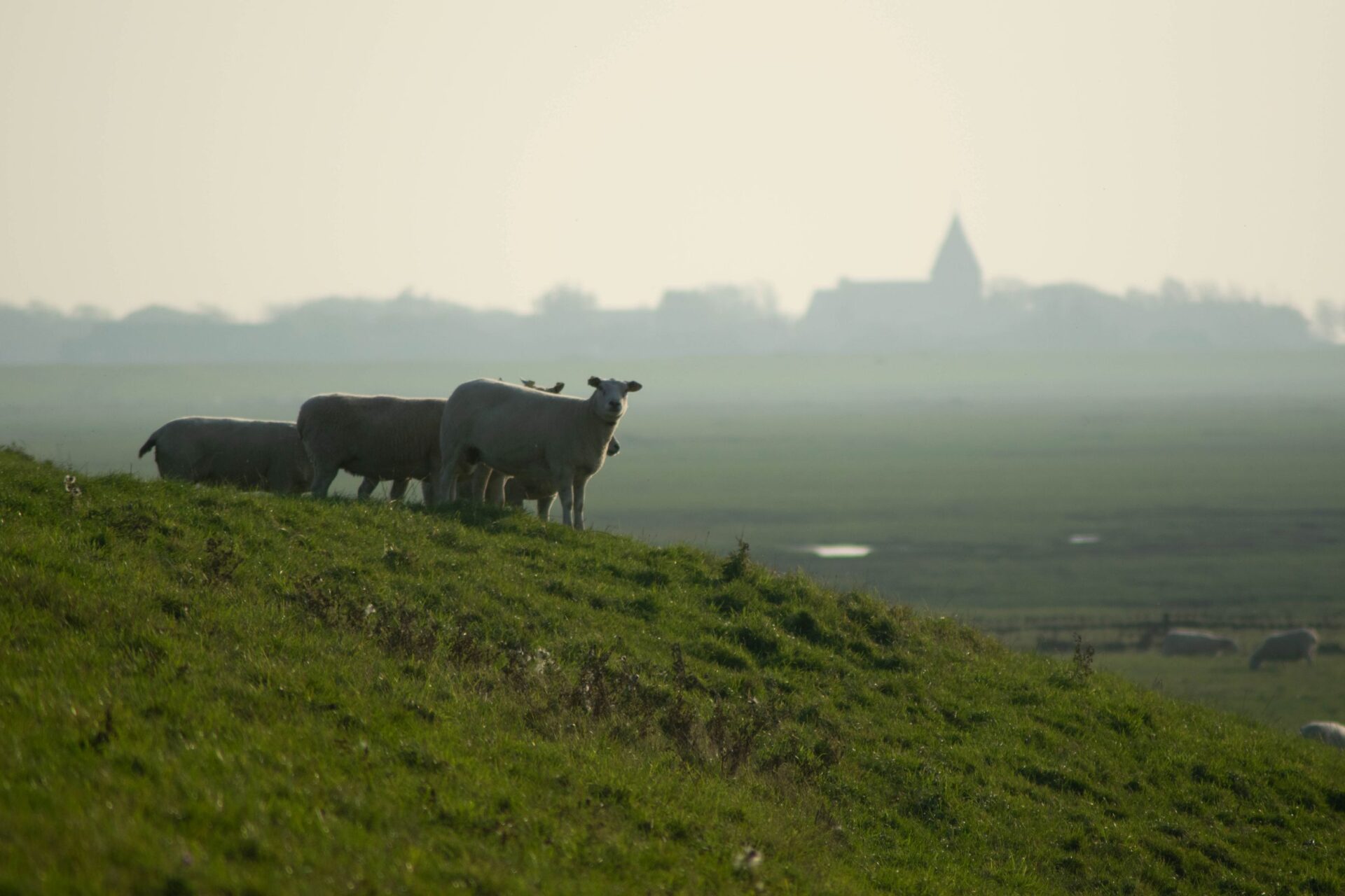 20 09 2020 (9 of 33)