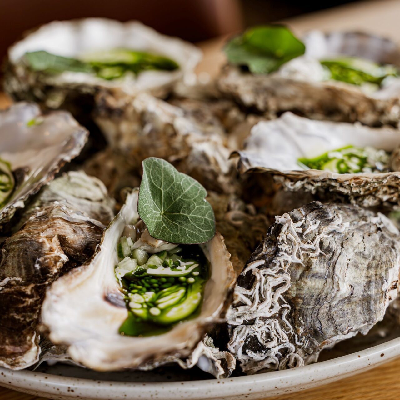 20250430 ig1a9108 enhanced nr