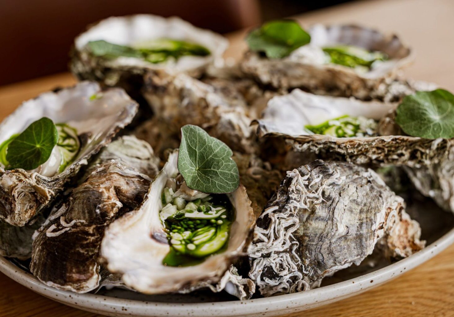 20250430-IG1A9108-Enhanced-NR