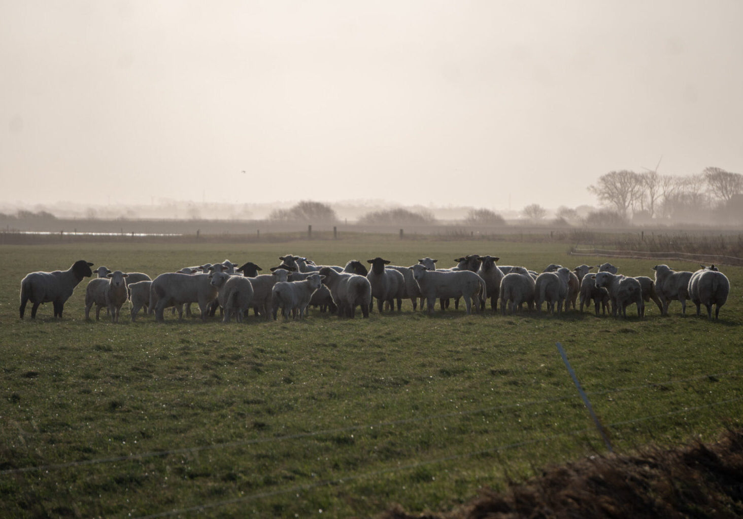 marsk 2024 (1 of 72)