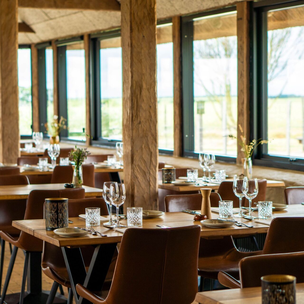 marskcamp hotdog glamping 2023 8